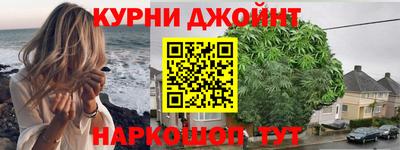 шишки Заволжье
