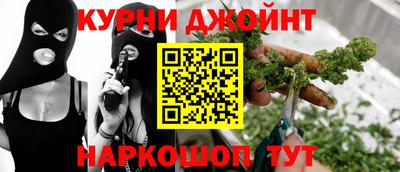 шишки Заволжье