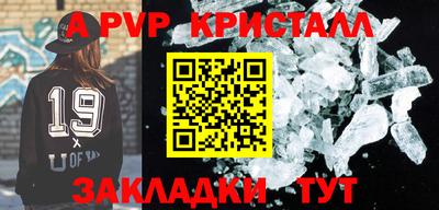 шишки Заволжье